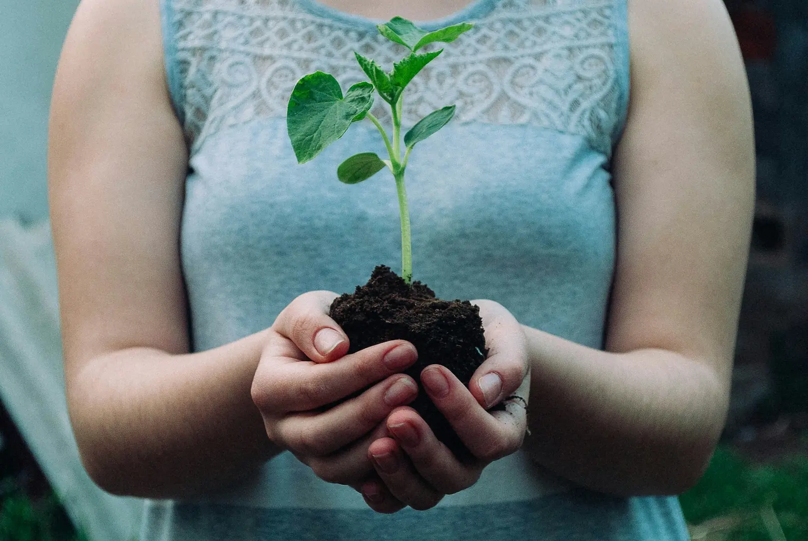 vrouw met plant in haar handen